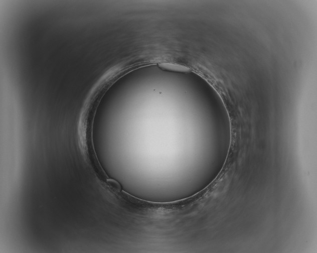 X0000102000197200807251253