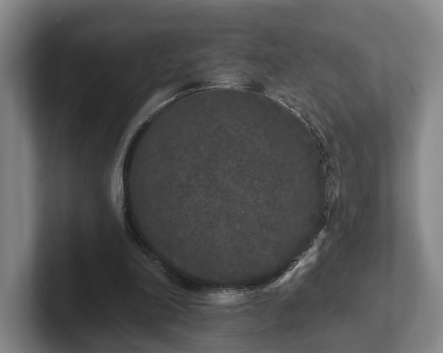 X0000102000198200807251253