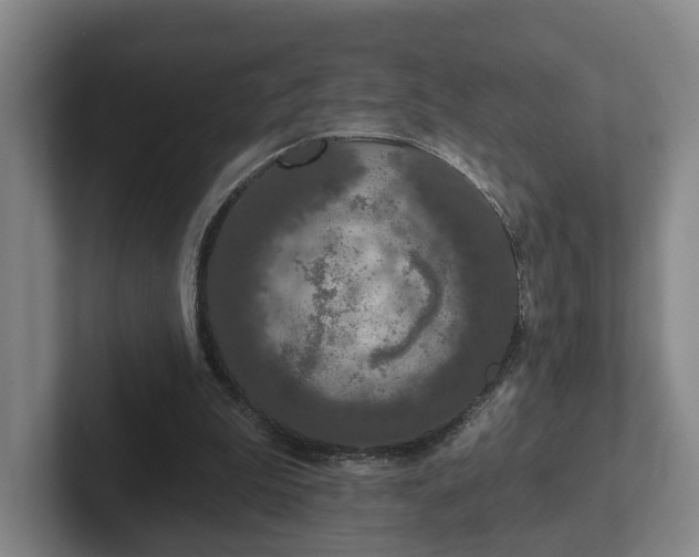 X0000102000199200807251253