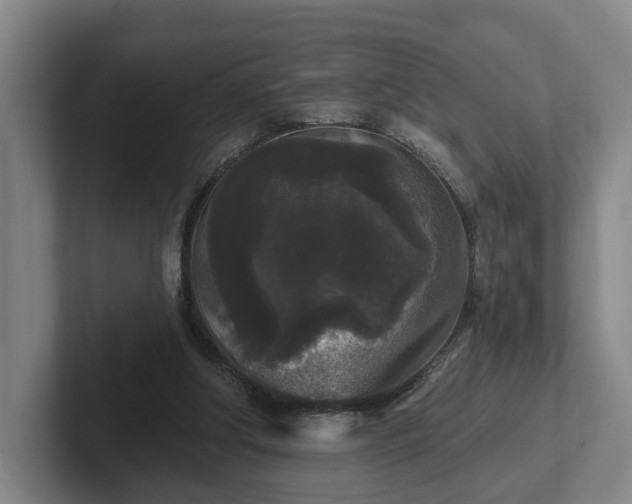 X0000102000202200807251253