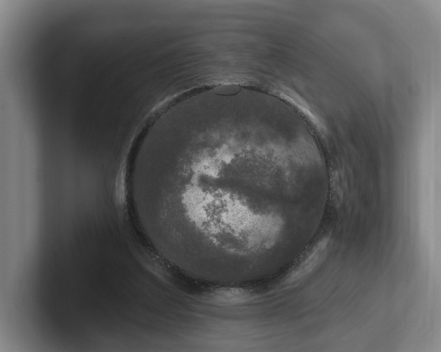 X0000102000203200807251253