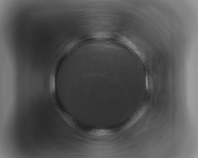 X0000102000205200807251253