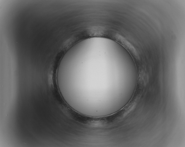 X0000102000209200807251253