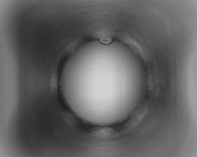 X0000102000210200807251252