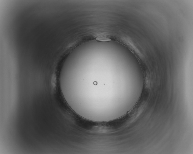 X0000102000211200807251252