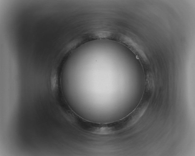 X0000102000212200807251252