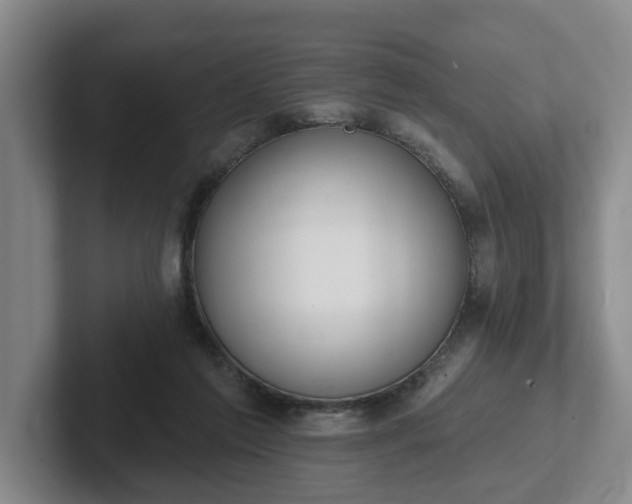 X0000102000213200807251252