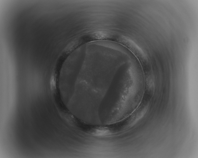 X0000102000214200807251252