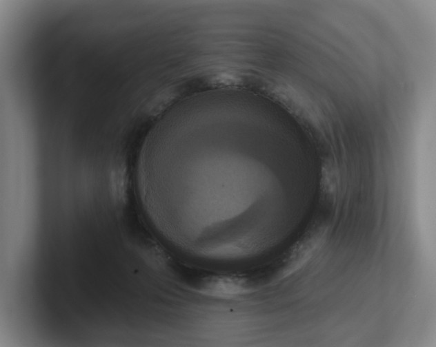 X0000102000223200807251252