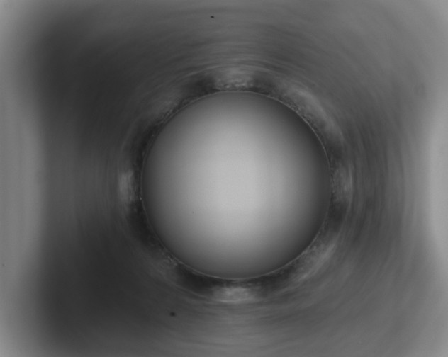 X0000102000224200807251252