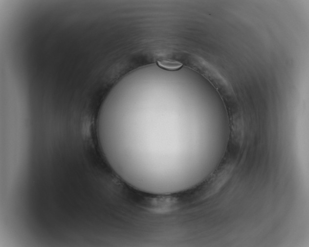 X0000102000225200807251252