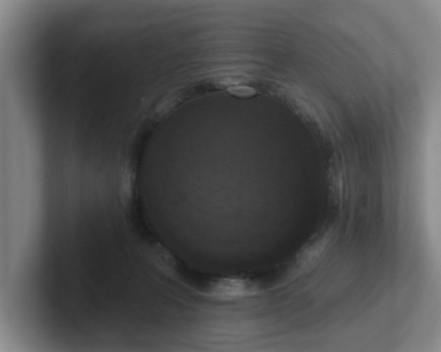 X0000102000227200807251252