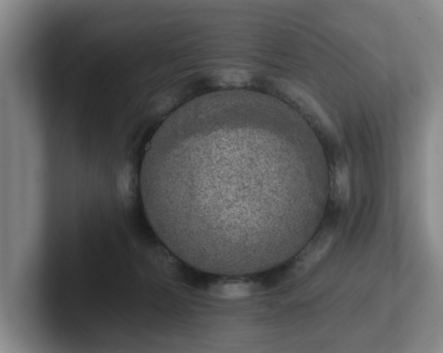 X0000102000228200807251252