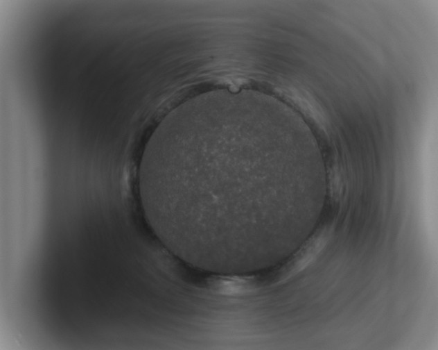 X0000102000229200807251252