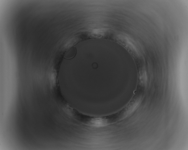 X0000102000231200807251252