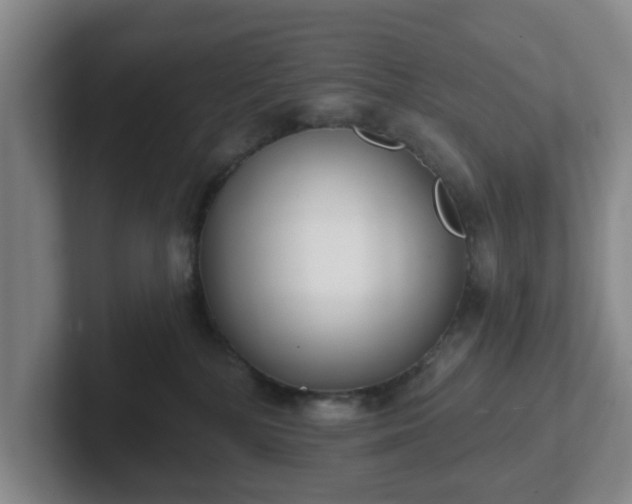 X0000102000232200807251252