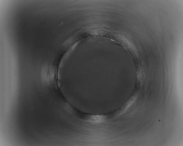 X0000102000233200807251252