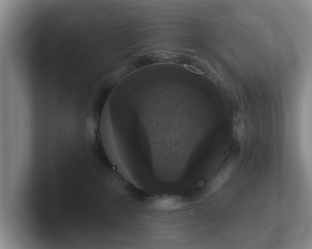 X0000102000235200807251252