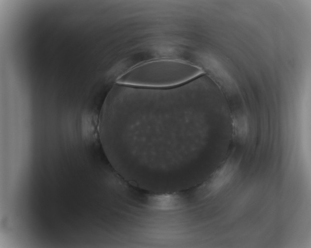 X0000102000237200807251252