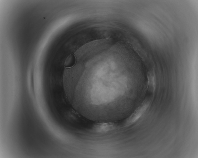 X0000102000239200807251252