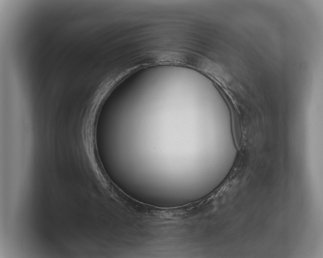 X0000102000241200807251251