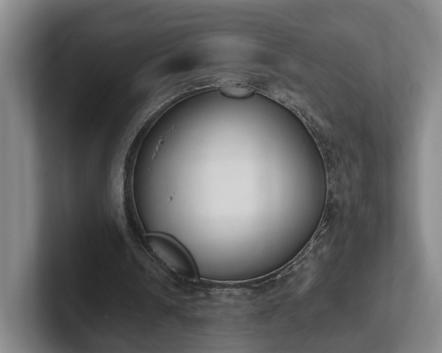 X0000102000242200807251251