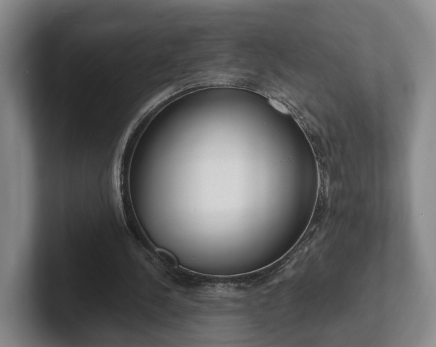 X0000102000244200807251252