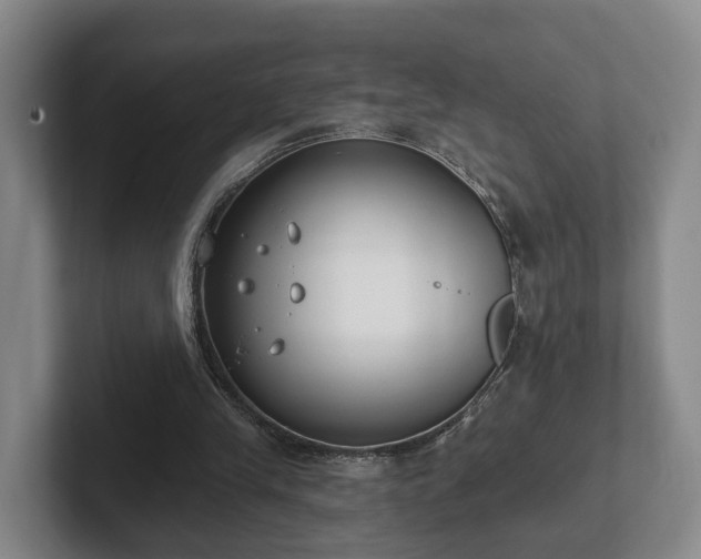 X0000102000245200807251252