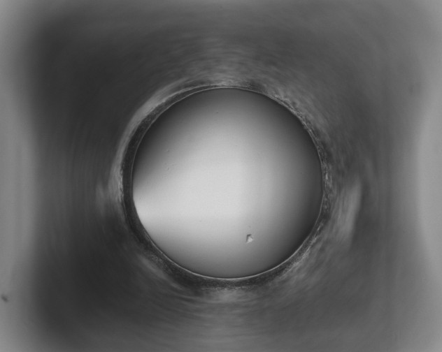 X0000102000246200807251252