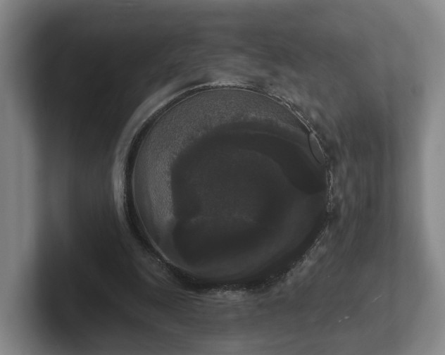 X0000102000247200807251252