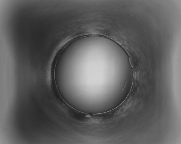 X0000102000248200807251252