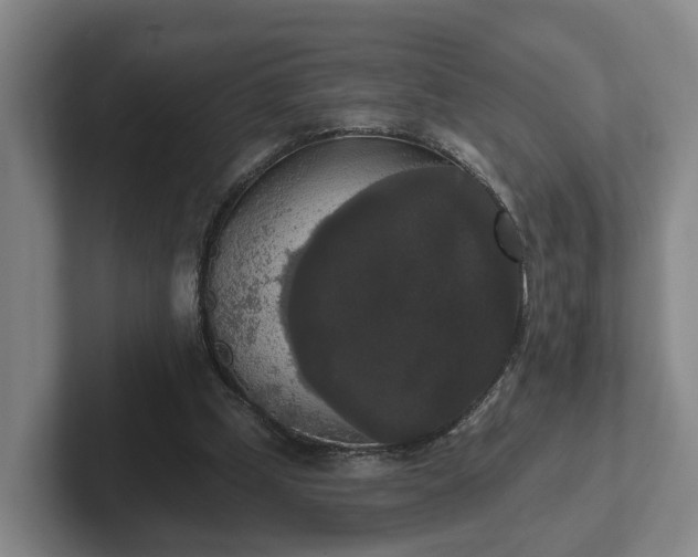 X0000102000249200807251252