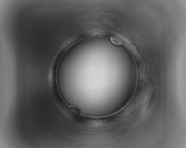 X0000102000250200807251252