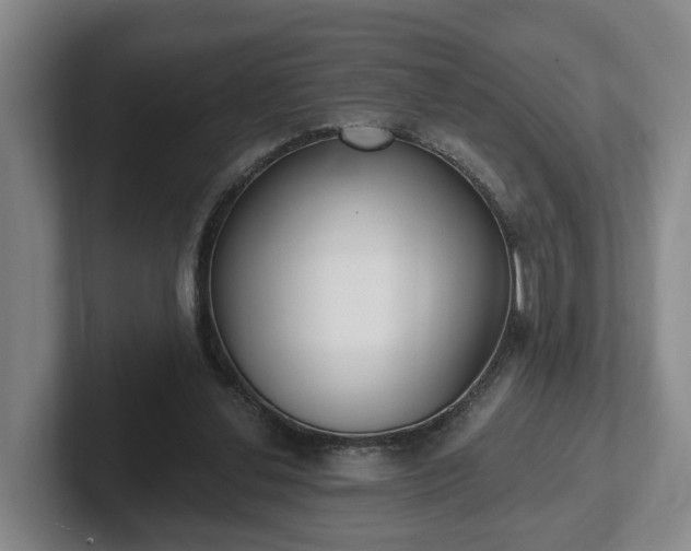 X0000102000252200807251252