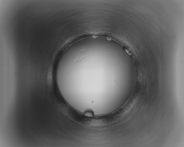 X0000102000256200807251252