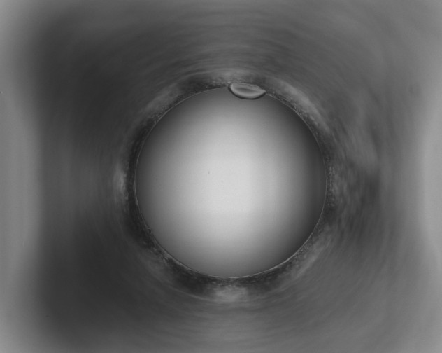 X0000102000258200807251252