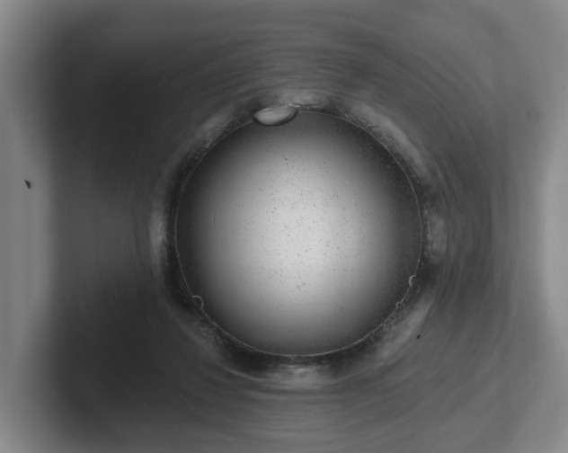 X0000102000260200807251252