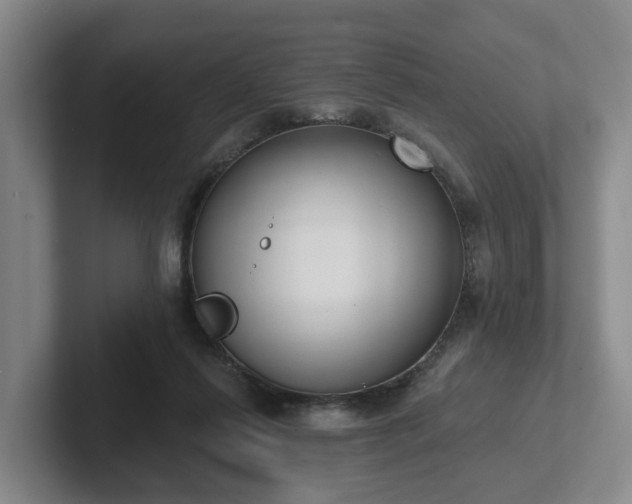 X0000102000262200807251252