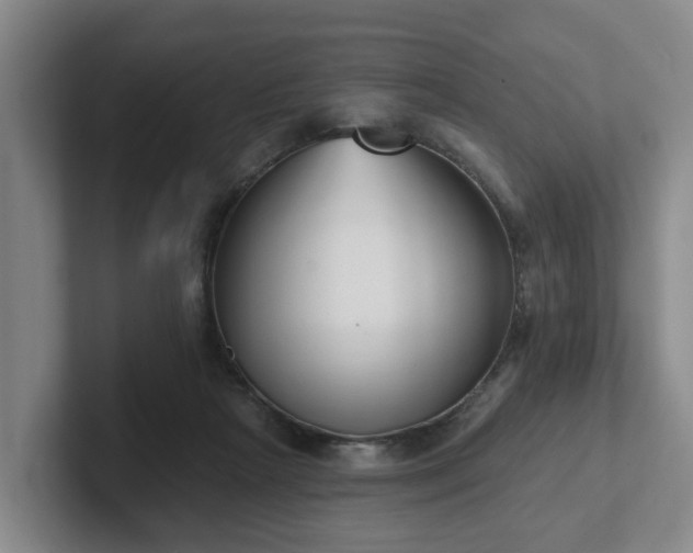 X0000102000265200807251252