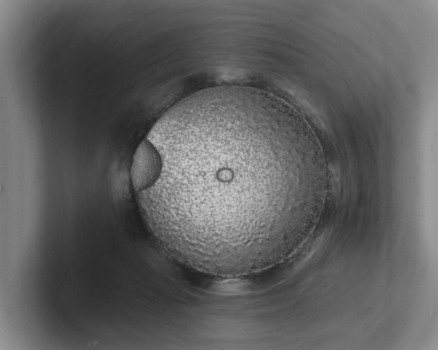 X0000102000269200807251252