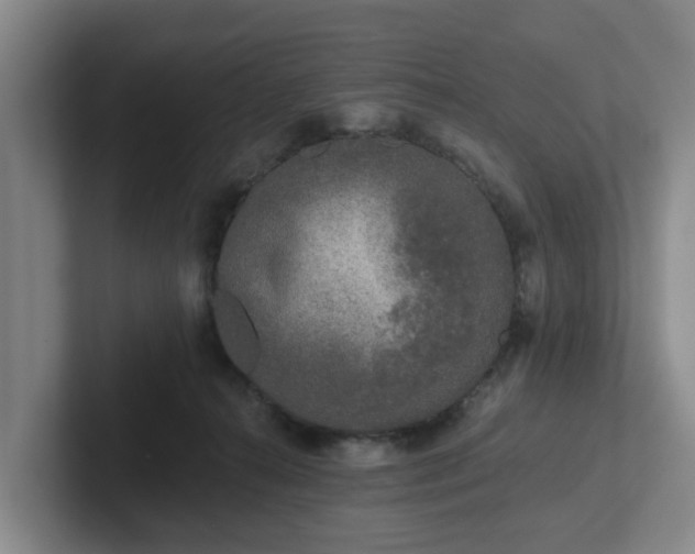 X0000102000272200807251252