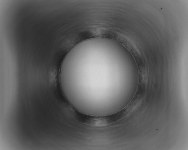 X0000102000275200807251252