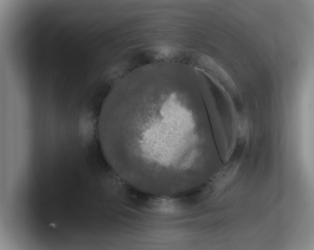 X0000102000276200807251252