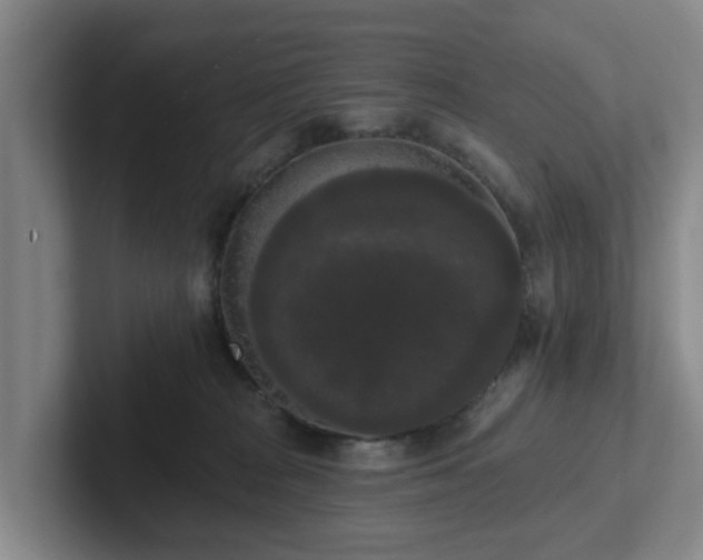 X0000102000277200807251252