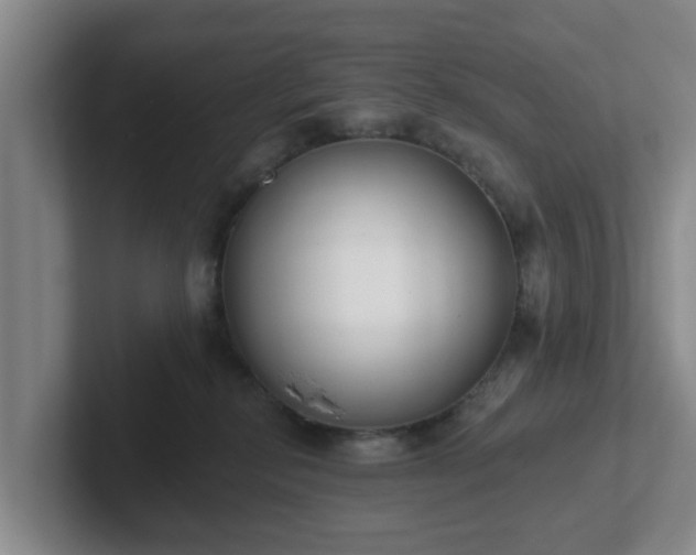 X0000102000278200807251252