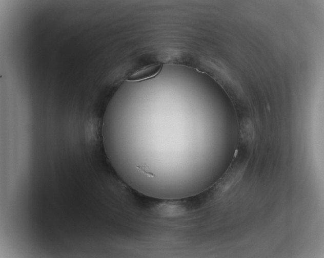 X0000102000280200807251252