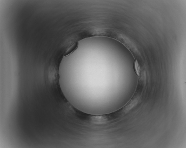 X0000102000281200807251252