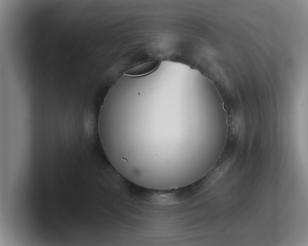 X0000102000283200807251252