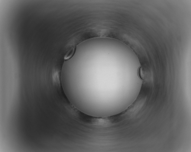 X0000102000286200807251252