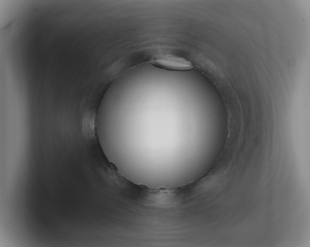 X0000102000288200807251252